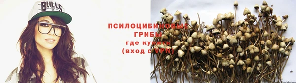 спиды Сафоново